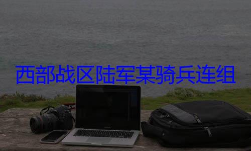 目训练西部战区陆组织骑术课军某骑兵连